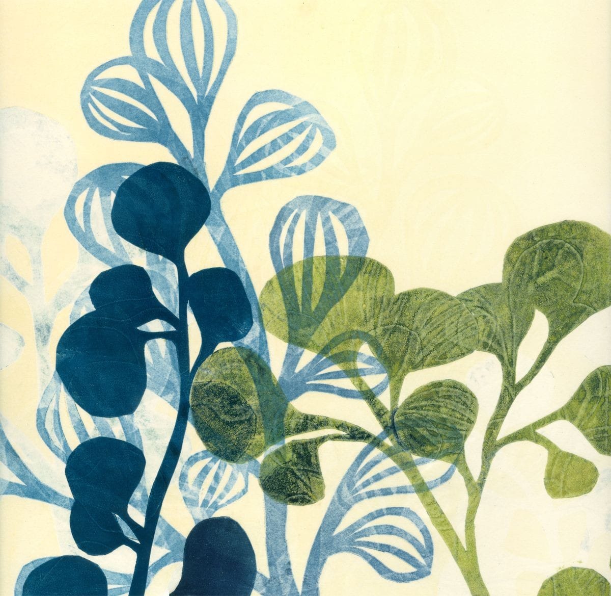 Botanical monoprint in pink and blue using drypoint and collagraph techniques