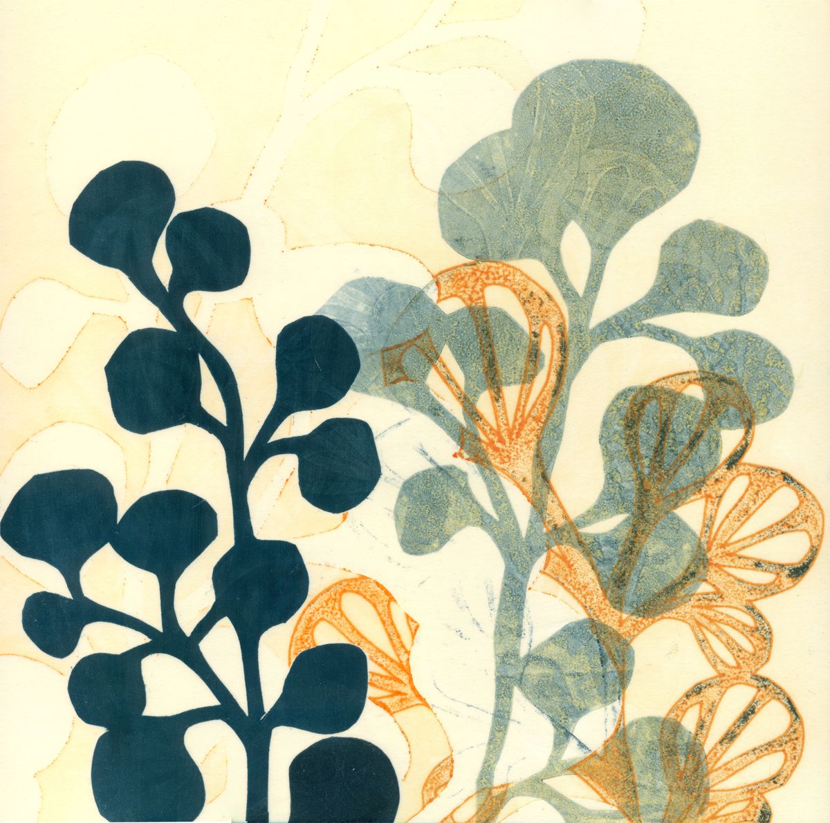Botanical mixed media piece using drypoint, stencil and collagraph techniques with India ink